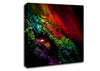 Eye Of The Rainbow Canvas Wall Art