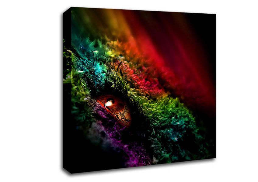 Eye Of The Rainbow Canvas Wall Art