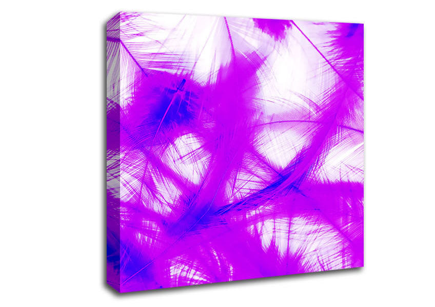 Feathers Pink Canvas Wall Art