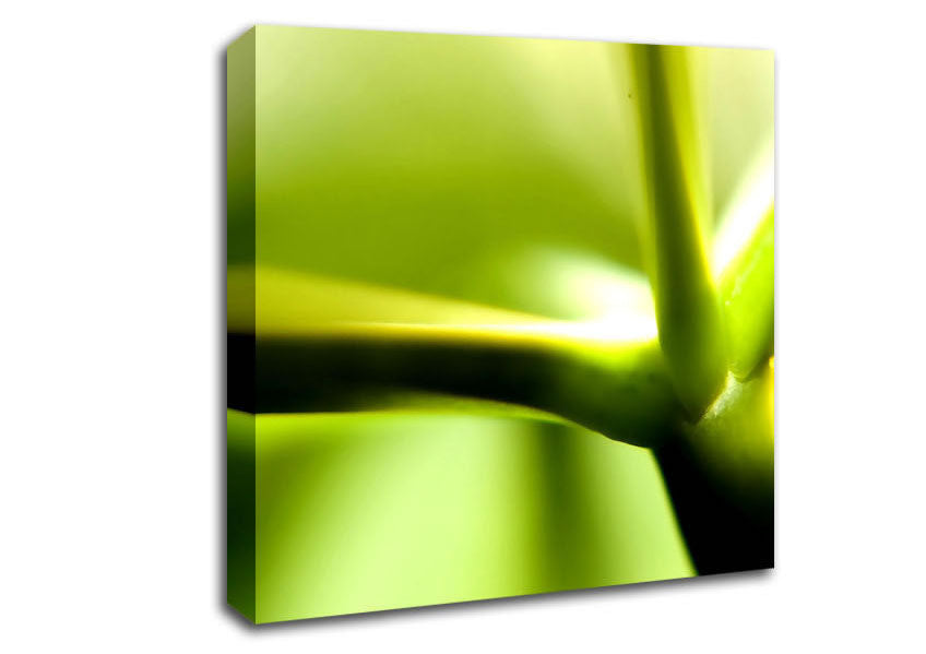Green Stem Canvas Wall Art