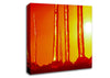 Icecap Sun Canvas Wall Art