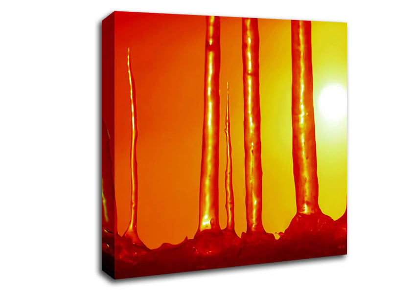 Icecap Sun Canvas Wall Art