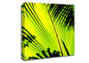 Lime Palm Tree Canvas Wall Art