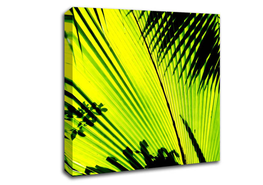 Lime Palm Tree Canvas Wall Art