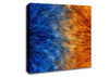 Opposite Canvas Wall Art