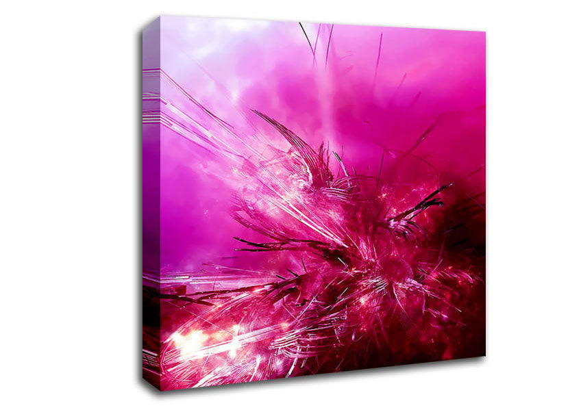 Pink Fury Canvas Wall Art