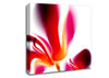 Raspberry Ripple Canvas Wall Art