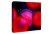 Red Blue Slices Canvas Wall Art