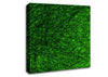 Space Matter Green Canvas Wall Art