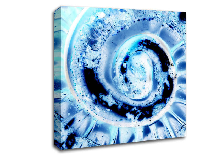 The Shells Core Canvas Wall Art