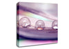 Three Water Drops Canvas Wall Art