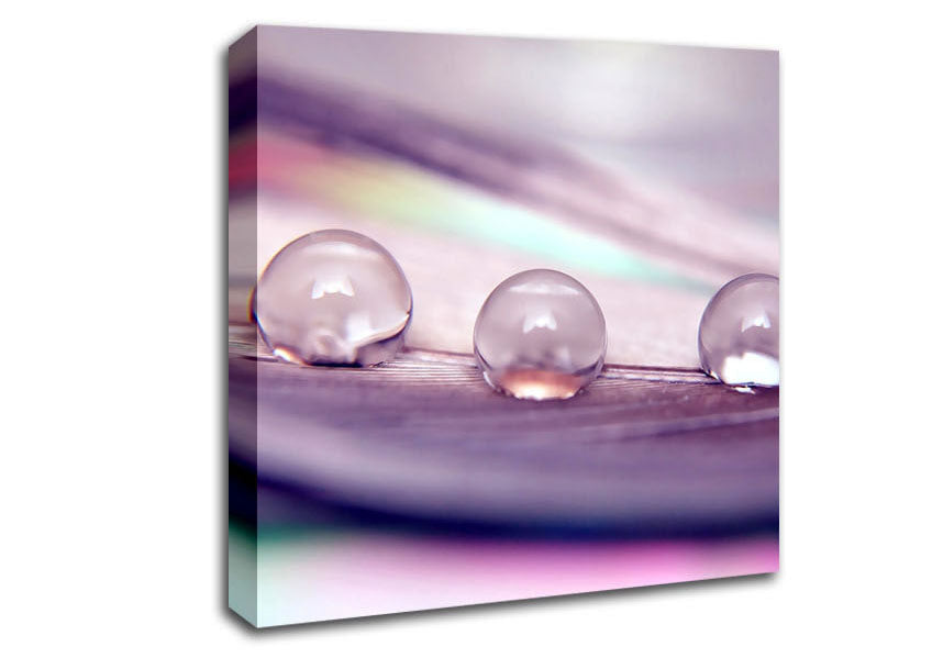 Three Water Drops Canvas Wall Art