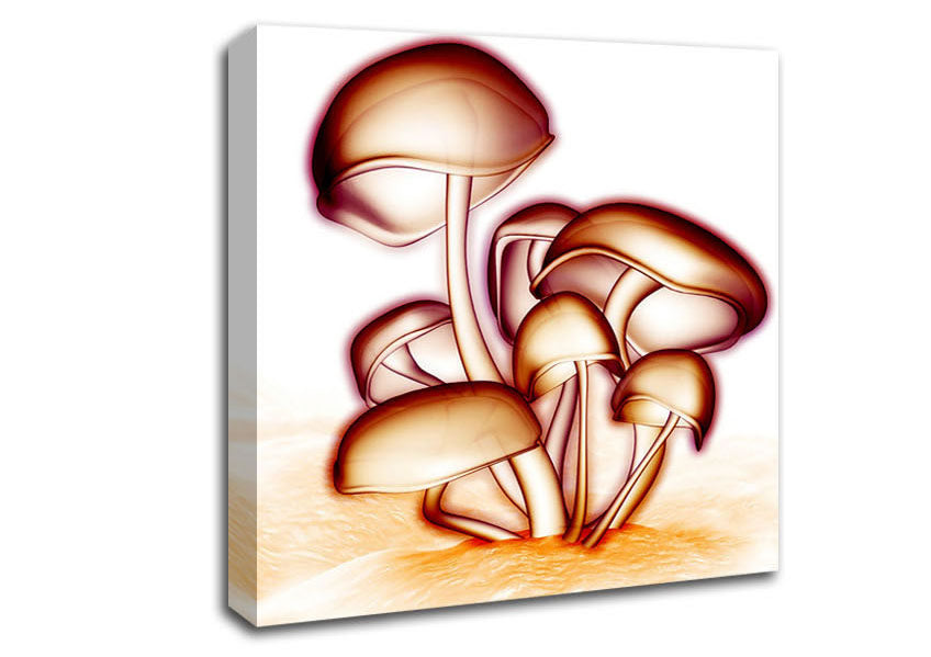 Toad Stool Canvas Wall Art