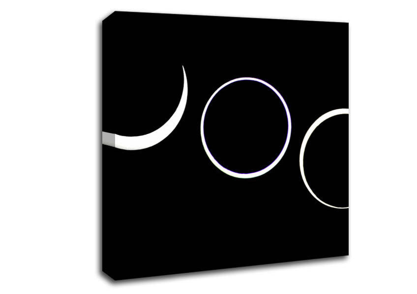 Total Eclipes Canvas Wall Art