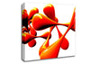 Vivid Canvas Wall Art