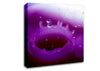 Wax Splash Canvas Wall Art