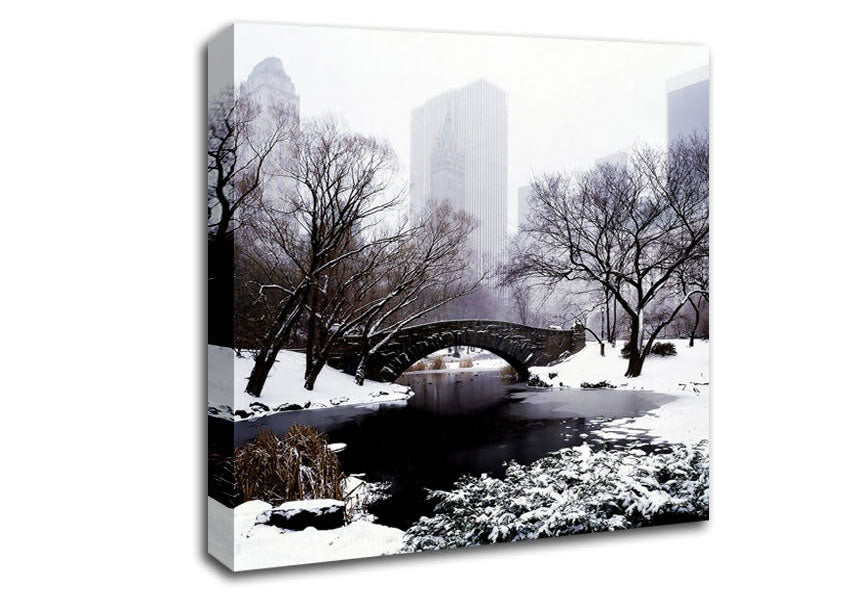 Central Park In Winter Canvas Wall Art
