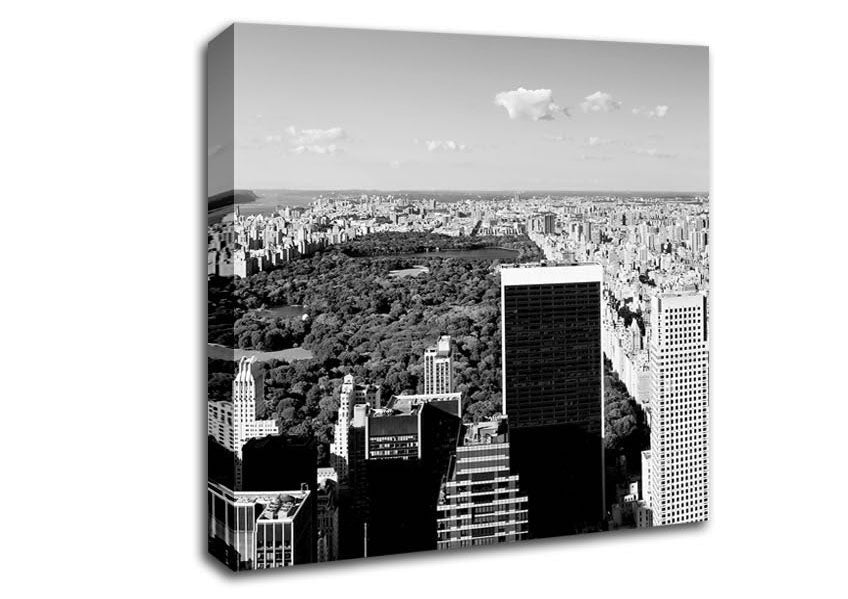 Central Park New York B n W Canvas Wall Art
