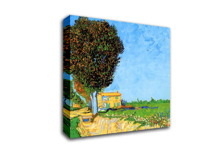 Van Gogh A Lane Near Arles Canvas Wall Art