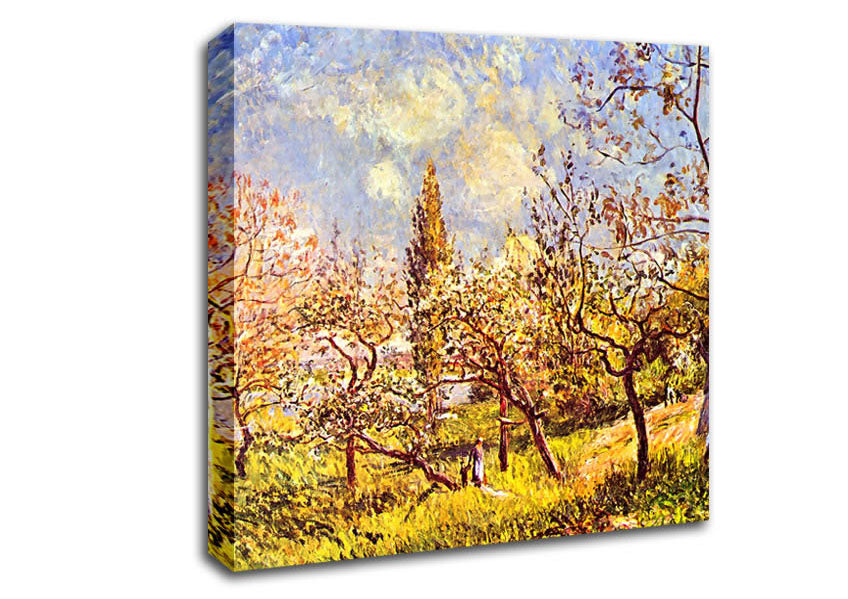 Sisley An Orchard In Spring Canvas Wall Art
