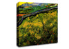 Van Gogh Field Of Spring Wheat At Sunrise Canvas Wall Art