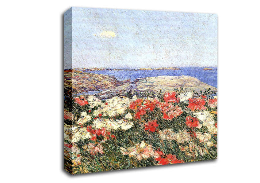 Hassam Poppies On The Isles Of Shoals Canvas Wall Art