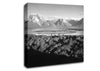 Ansel Adams Signal Hill In Grand Teton Wyoming Canvas Wall Art