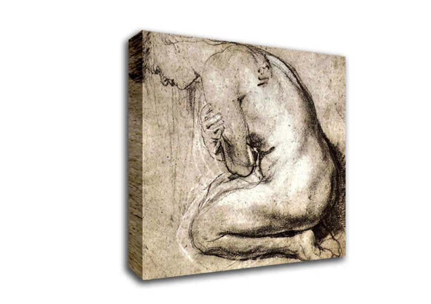 Rubens Study Of Mary Magdalene Canvas Wall Art