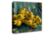 Van Gogh Still Life With Quinces Canvas Wall Art