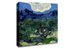 Van Gogh The Olive Trees Canvas Wall Art