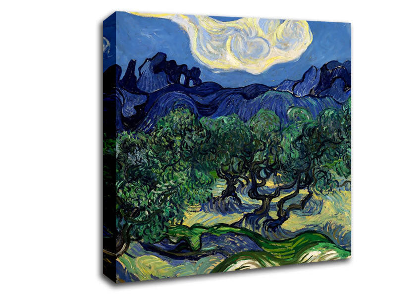 Van Gogh The Olive Trees Canvas Wall Art