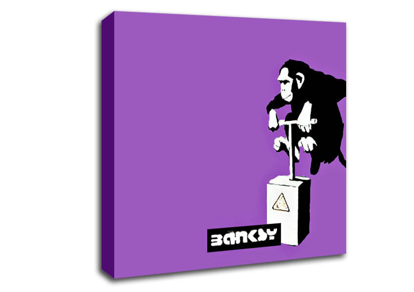 Monkey Detonator Purple Canvas Wall Art