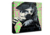Monkey Cap Canvas Wall Art