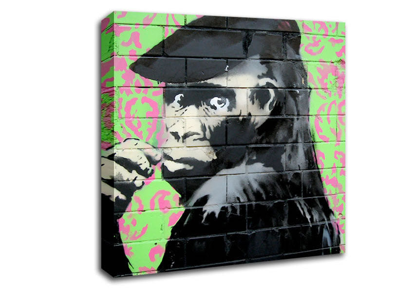 Monkey Cap Canvas Wall Art