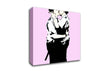 Bent Coppers Pink Canvas Wall Art