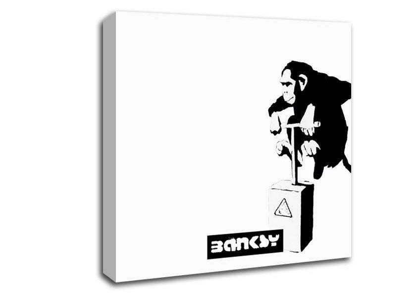 Monkey Detonator White Canvas Wall Art