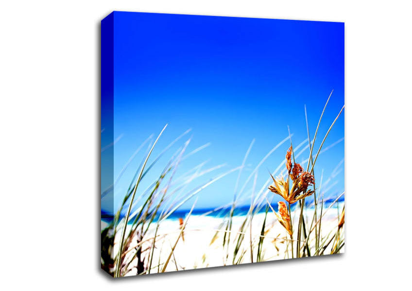 Clear Beach Sky Canvas Wall Art