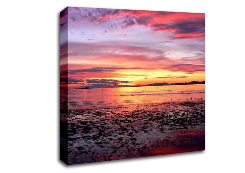 Pebbles In the Morning Sunrise Canvas Wall Art