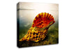 Ocean Shell Canvas Wall Art