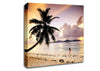 Rainbow Paradise Canvas Wall Art