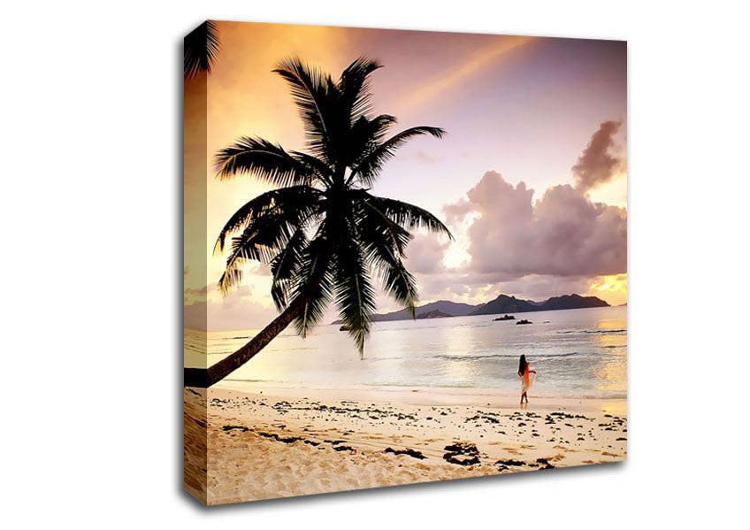 Rainbow Paradise Canvas Wall Art