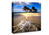 Sandy Island Caribbean Canvas Wall Art