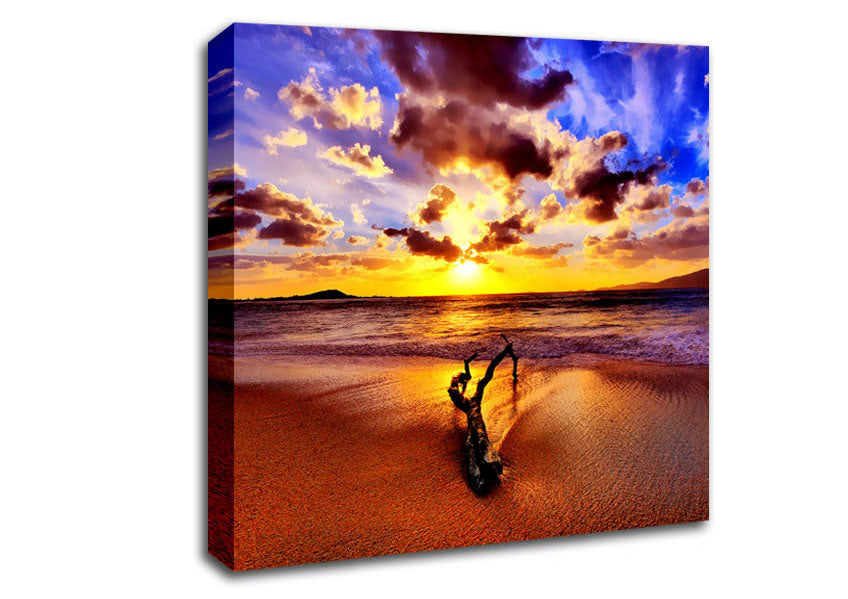 Stunning Ocean Driftwood Canvas Wall Art