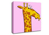 Funny Confused Zebra Pink Canvas Wall Art