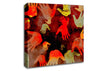Hands Of Time Canvas Wall Art