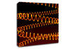 Fire Springs Canvas Wall Art