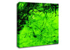 Green Branches In The Wind Canvas Wall Art