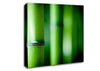 Green Bamboo Close-Up Canvas Wall Art