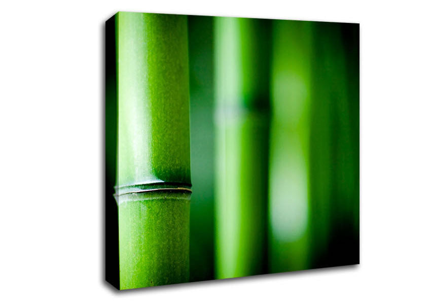 Green Bamboo Close-Up Canvas Wall Art