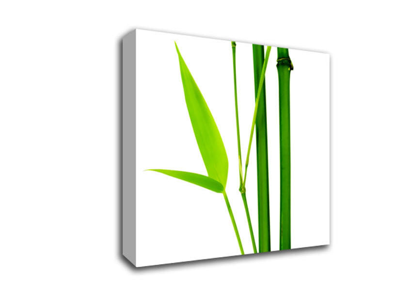Bamboo Cane Canvas Wall Art